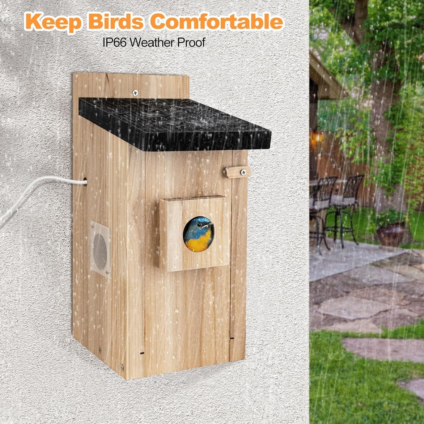 3MP Smart Birdhouse Camera - TrueSpyTech