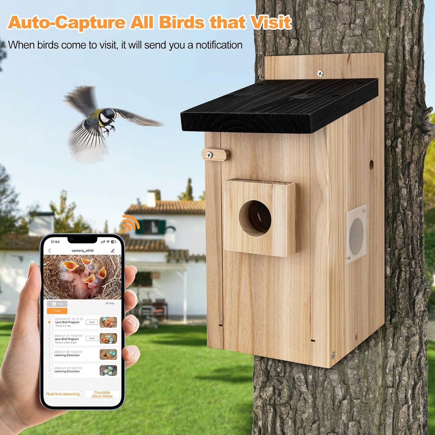 3MP Smart Birdhouse Camera - TrueSpyTech