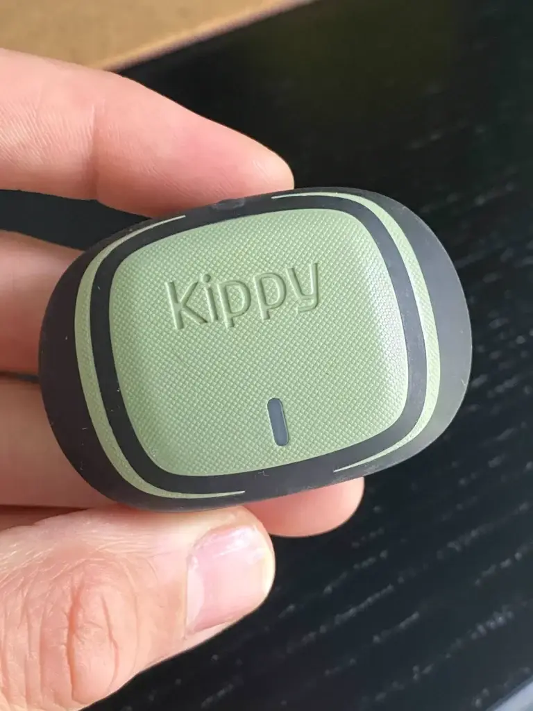 GPS Trackers for Personal Use: Legal Rules and How to Pick One