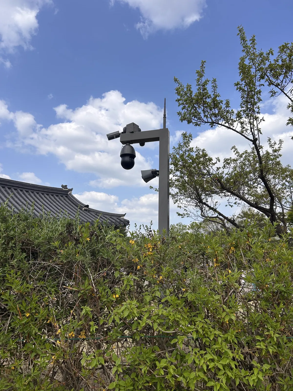 Is It Legal to Put a Hidden Camera in Your Own Home?