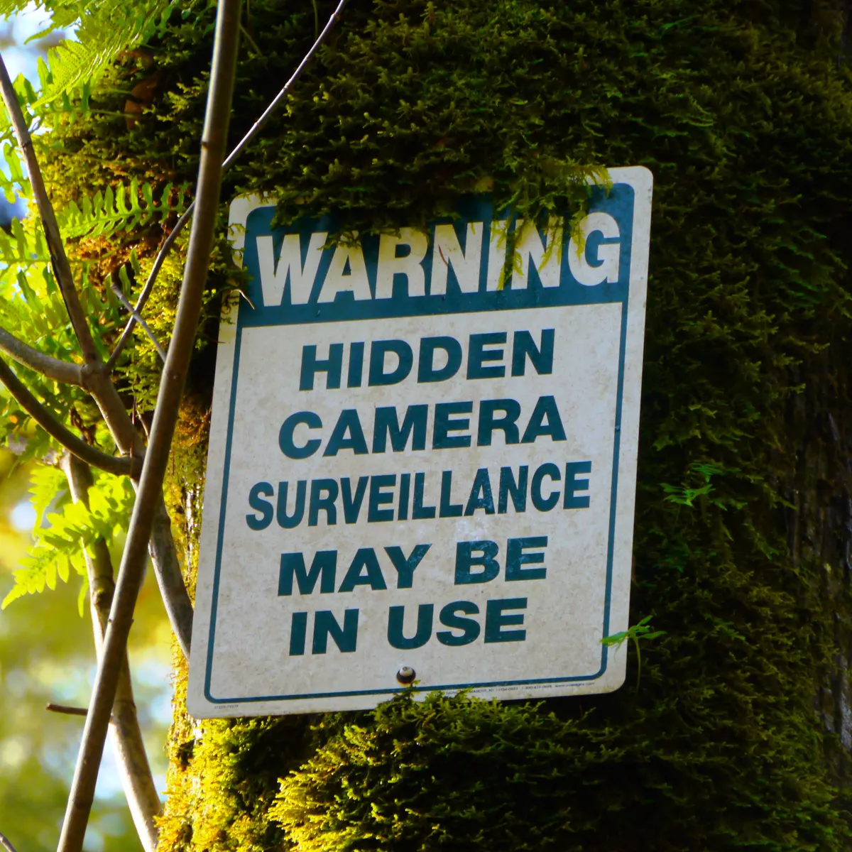 Do Housekeepers and Contractors Need to Know About Your Cameras?