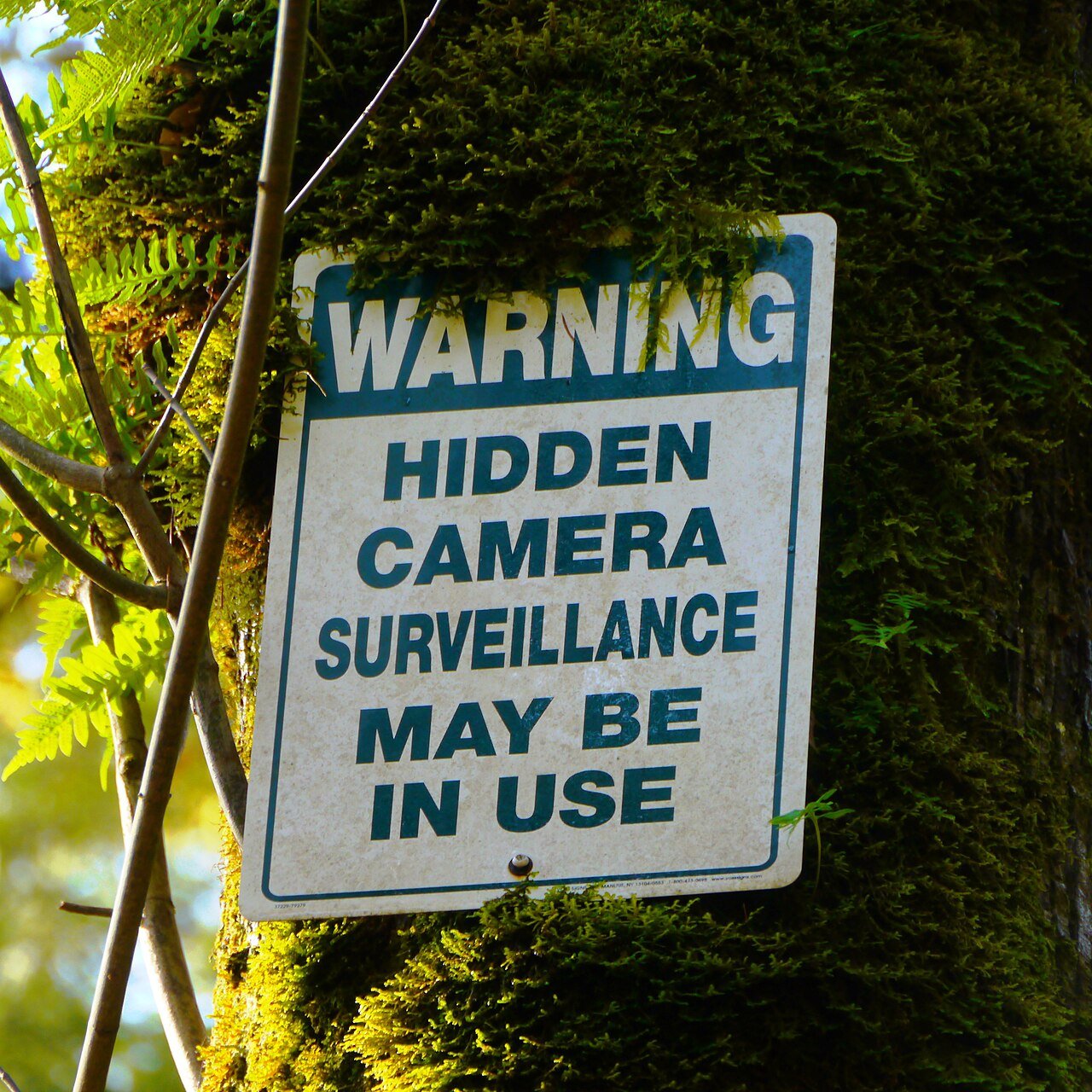 Found a hidden camera? What to do next, in order